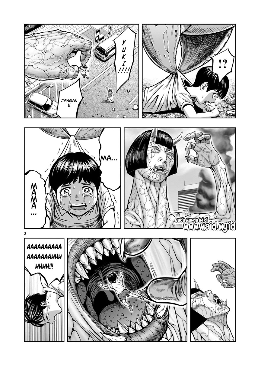 rooster-fighter - Chapter: 1