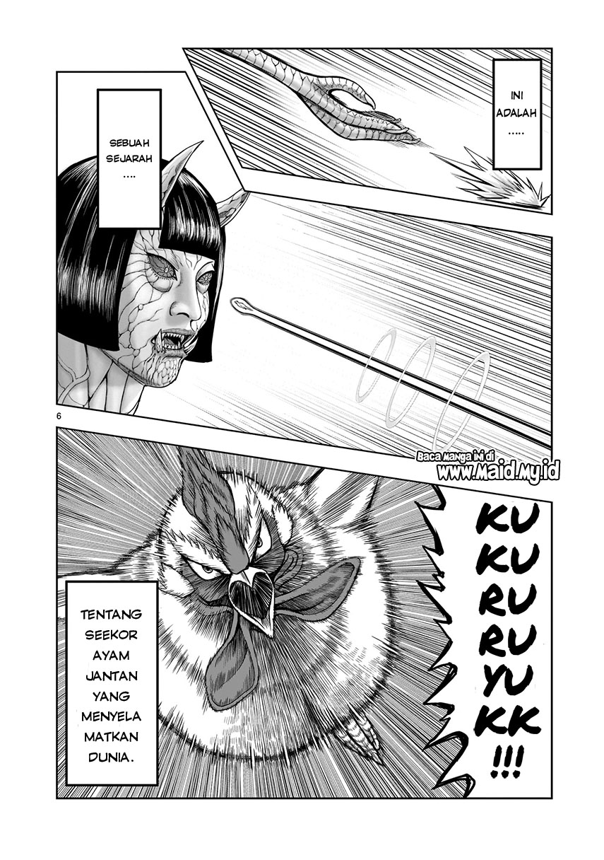 rooster-fighter - Chapter: 1