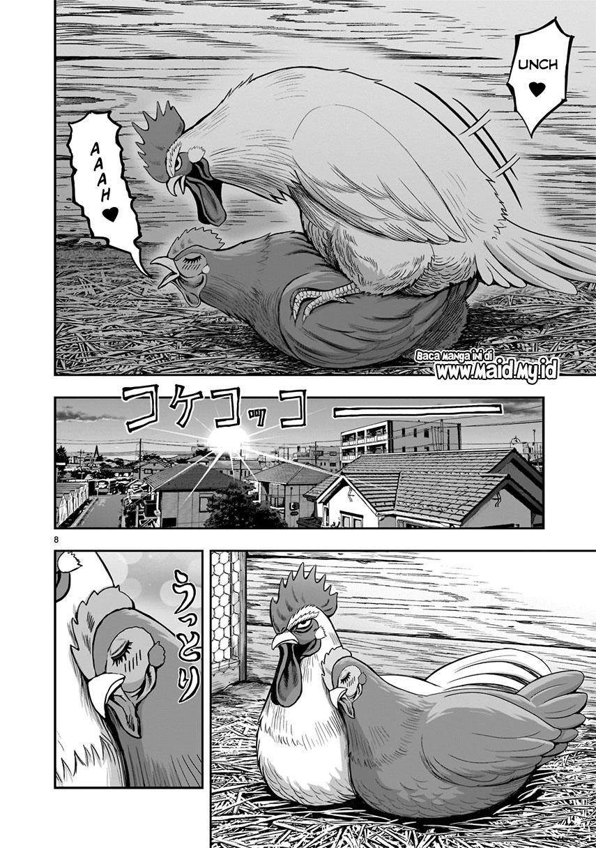 rooster-fighter - Chapter: 1