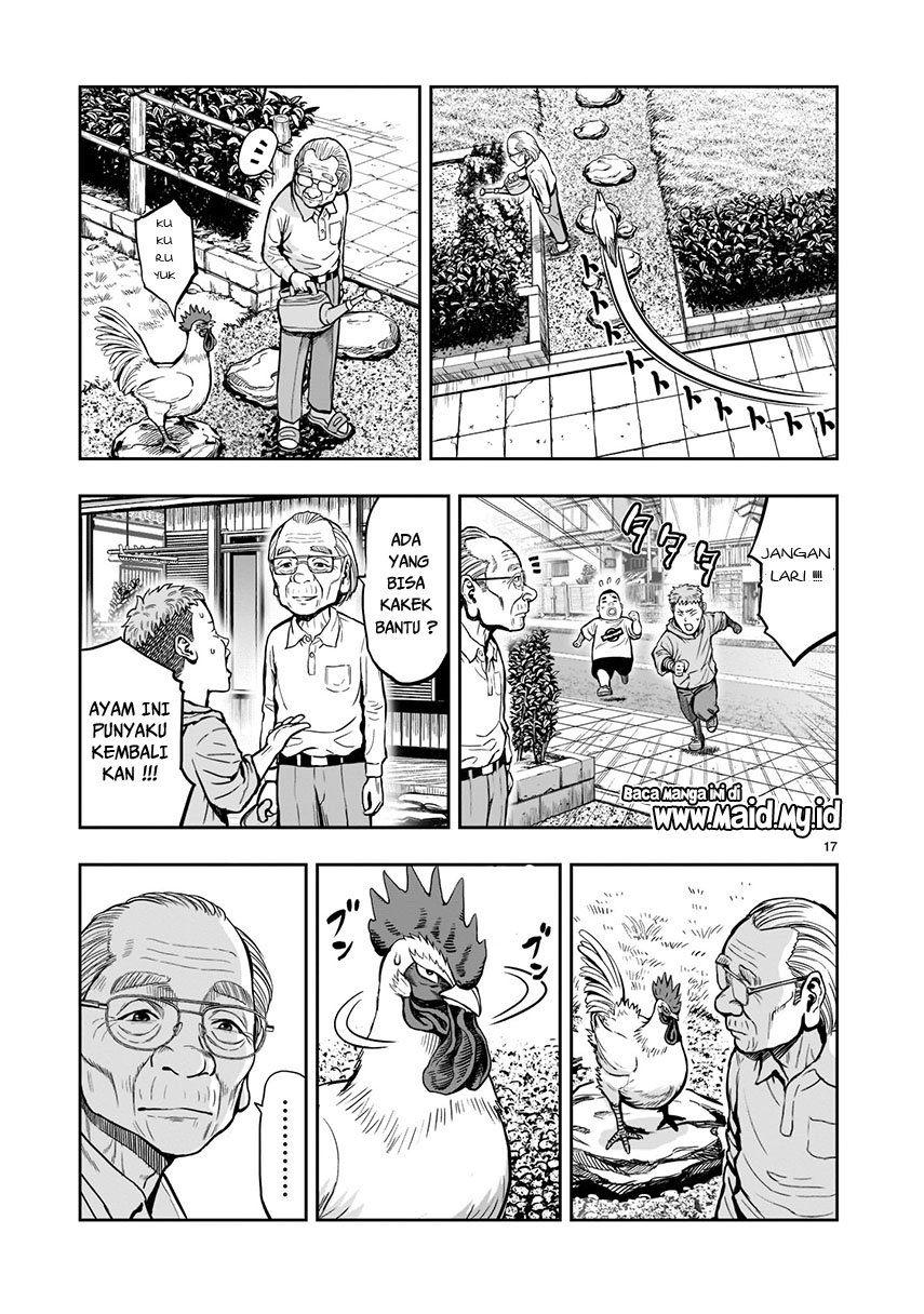 rooster-fighter - Chapter: 1
