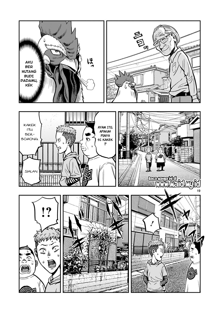 rooster-fighter - Chapter: 1