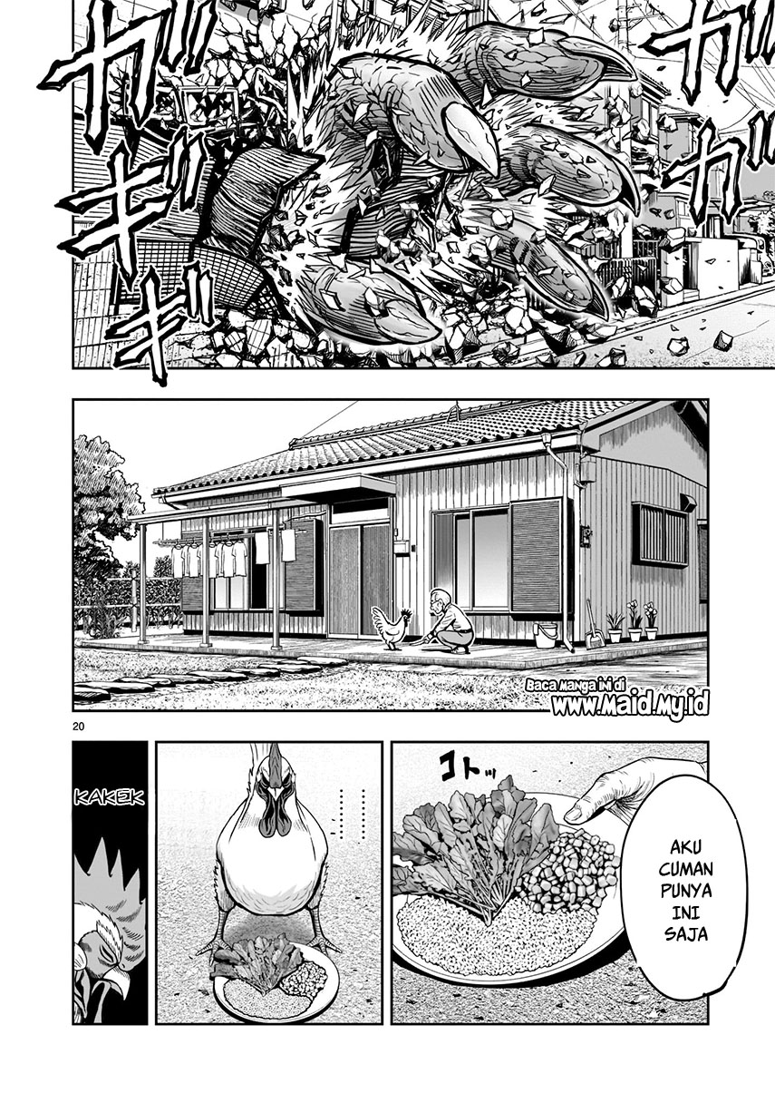 rooster-fighter - Chapter: 1