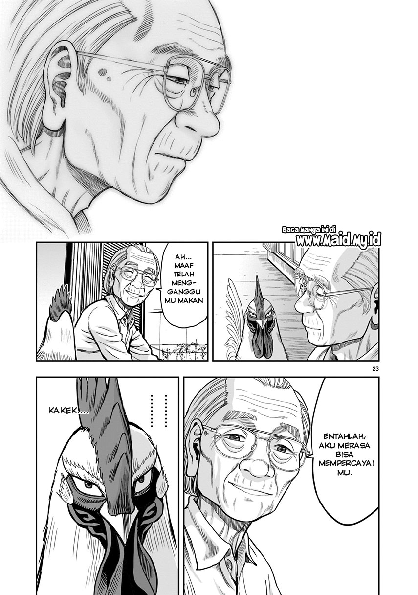 rooster-fighter - Chapter: 1