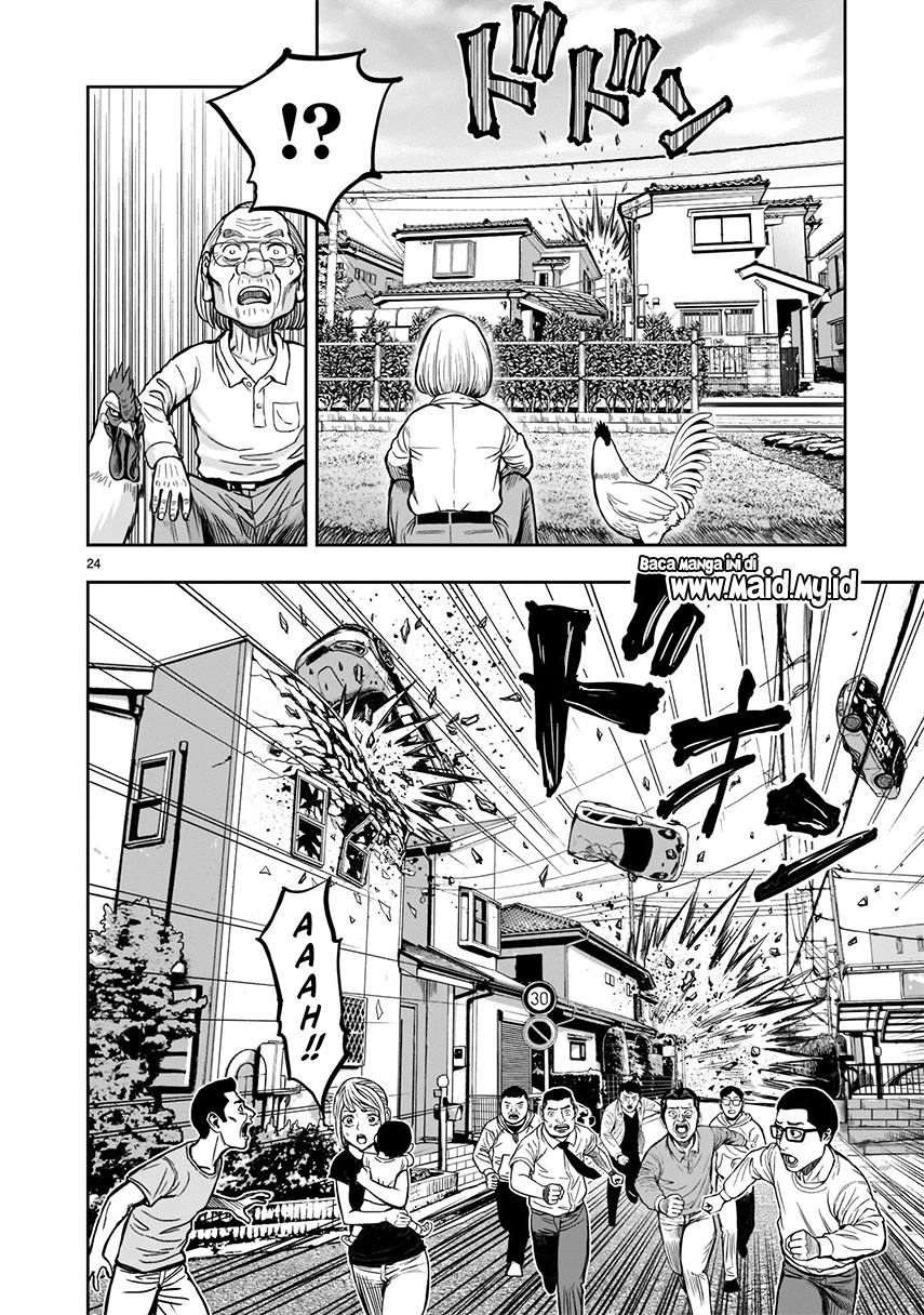 rooster-fighter - Chapter: 1