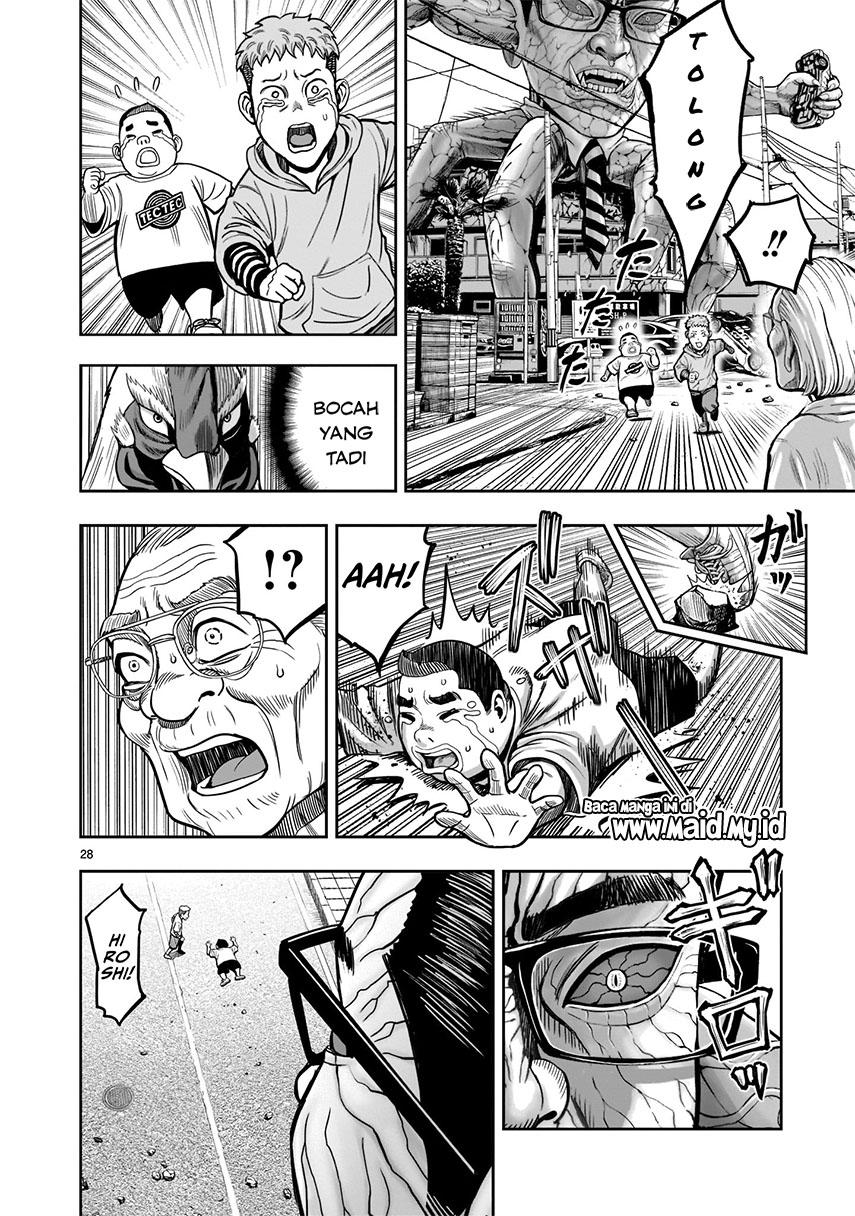 rooster-fighter - Chapter: 1