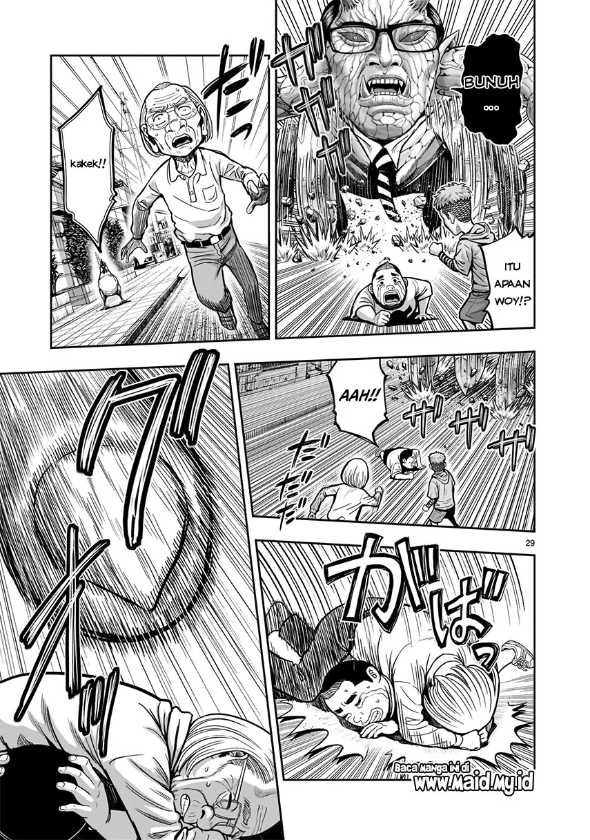 rooster-fighter - Chapter: 1