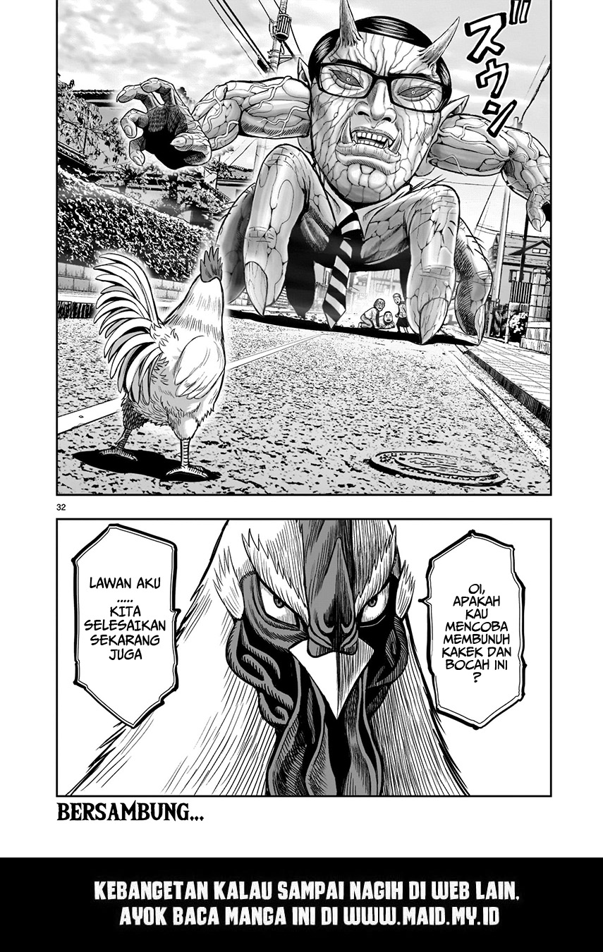 rooster-fighter - Chapter: 1