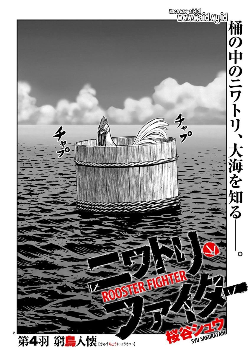 rooster-fighter - Chapter: 4