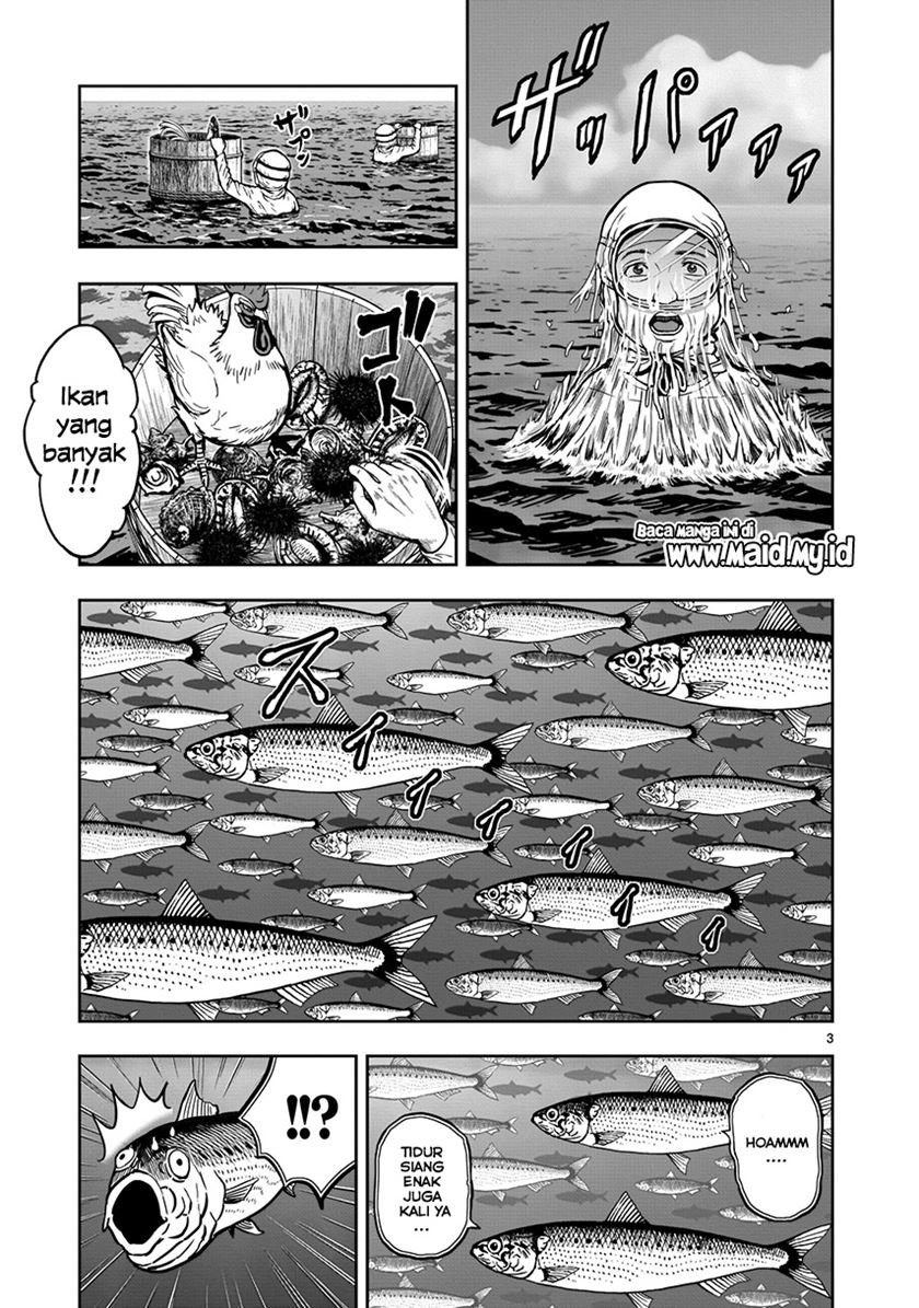 rooster-fighter - Chapter: 4