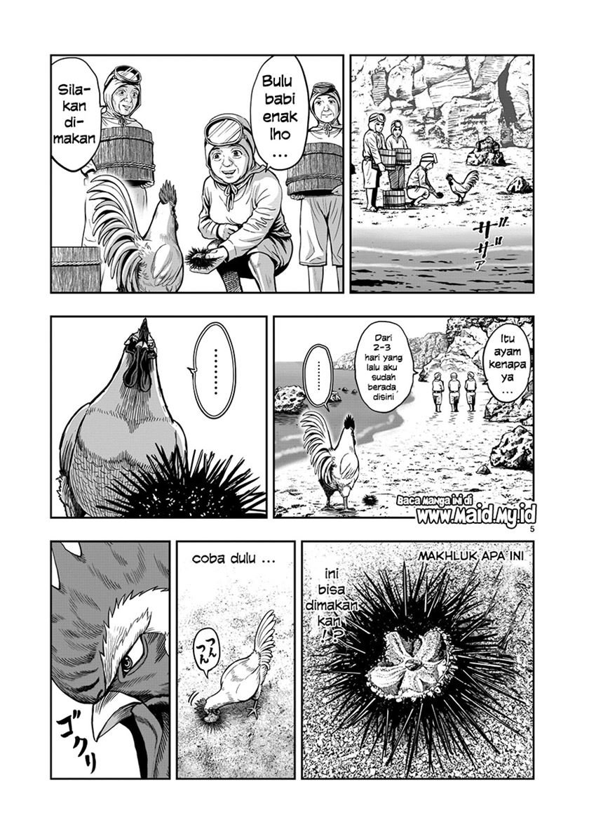 rooster-fighter - Chapter: 4
