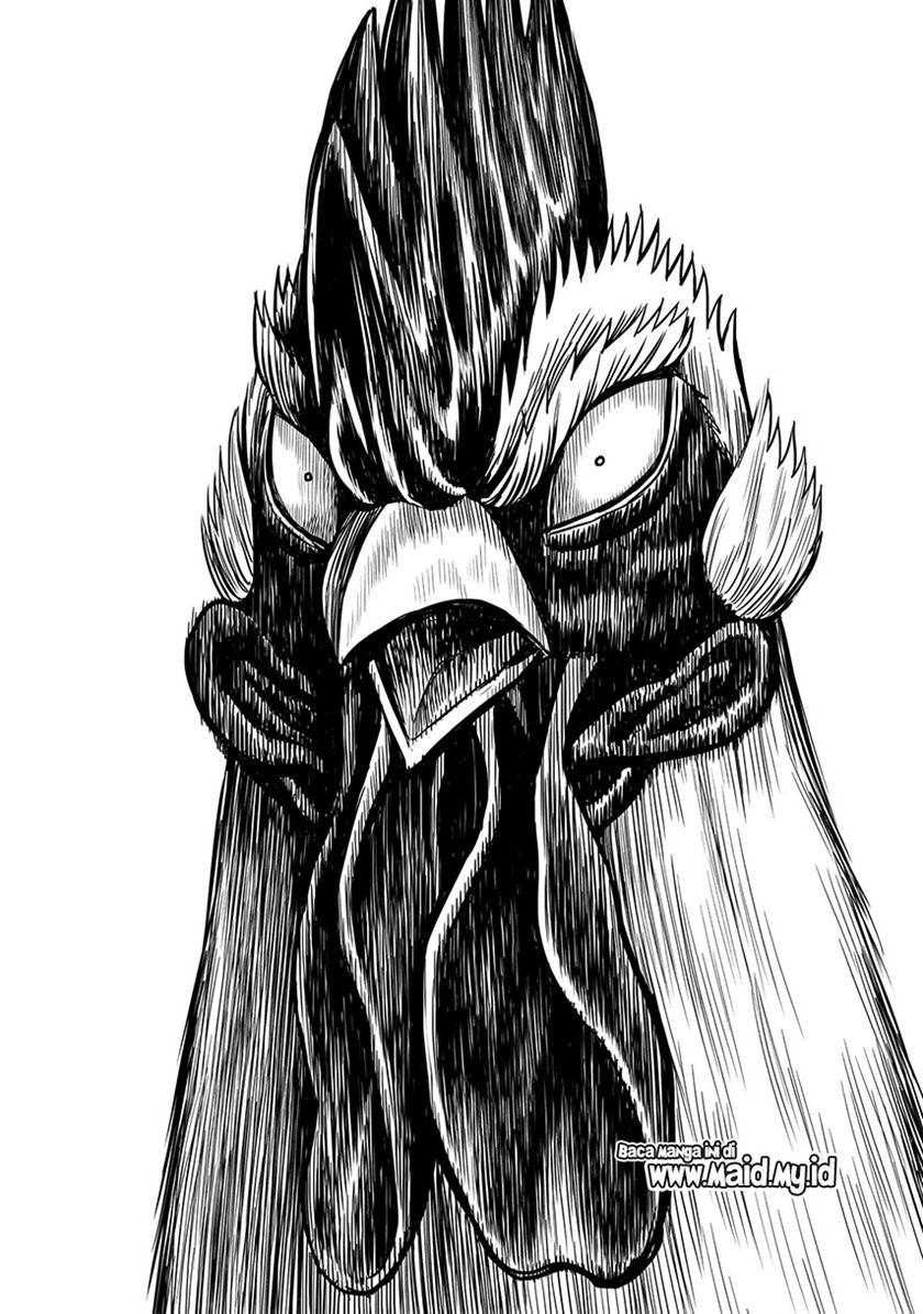 rooster-fighter - Chapter: 4