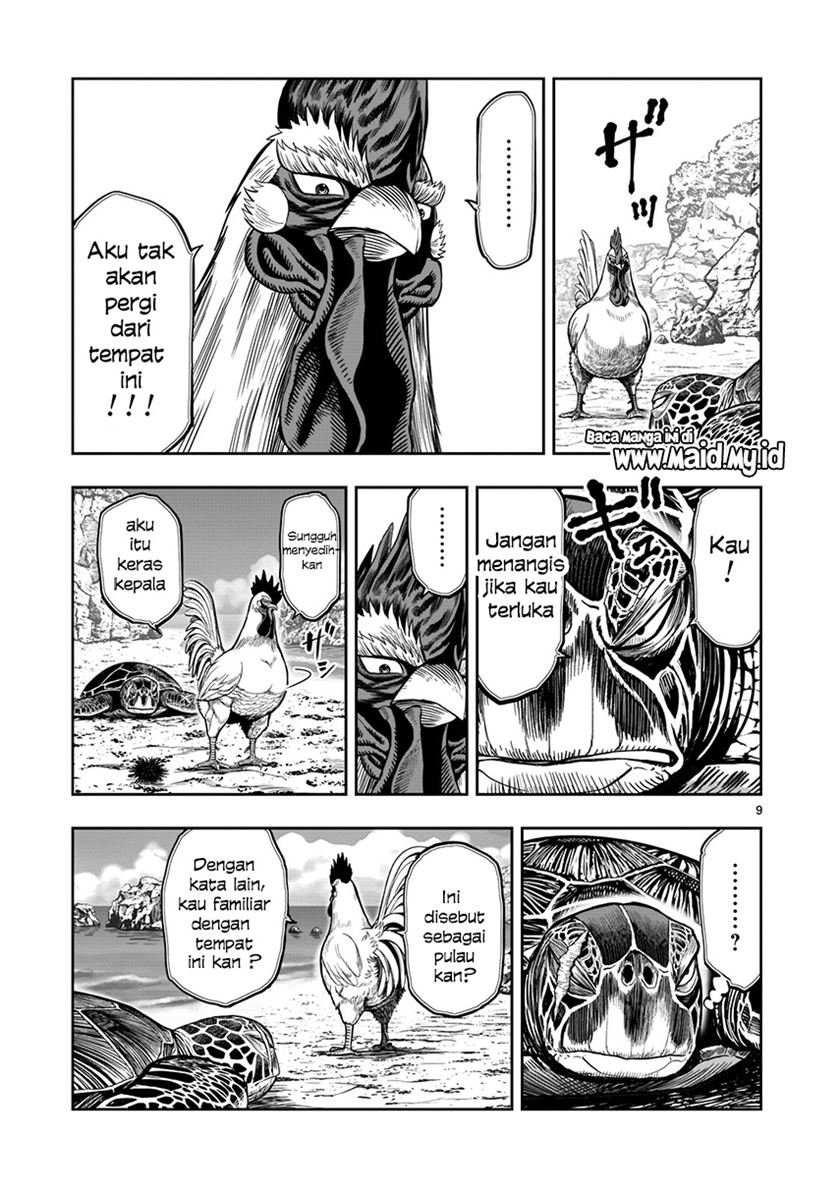 rooster-fighter - Chapter: 4