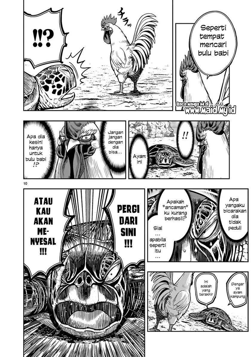 rooster-fighter - Chapter: 4