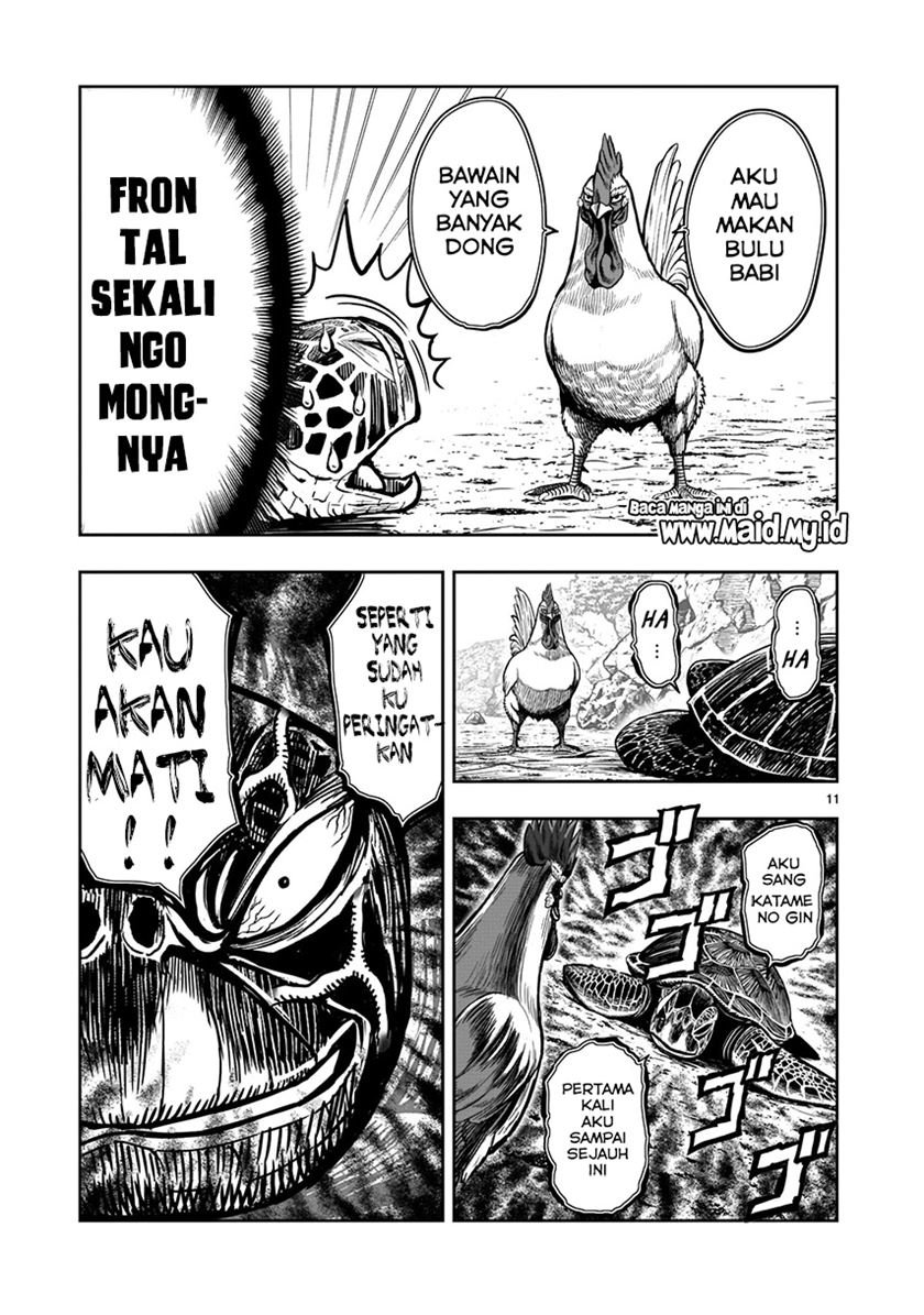 rooster-fighter - Chapter: 4
