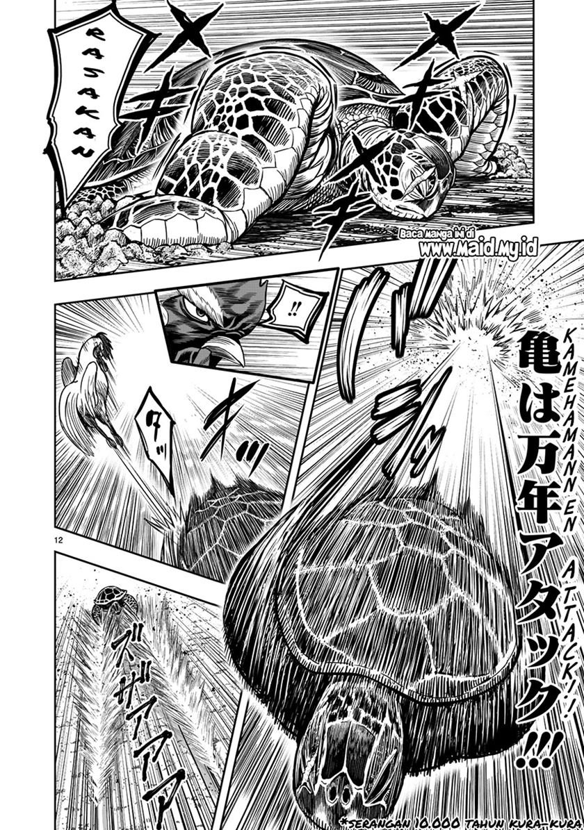 rooster-fighter - Chapter: 4