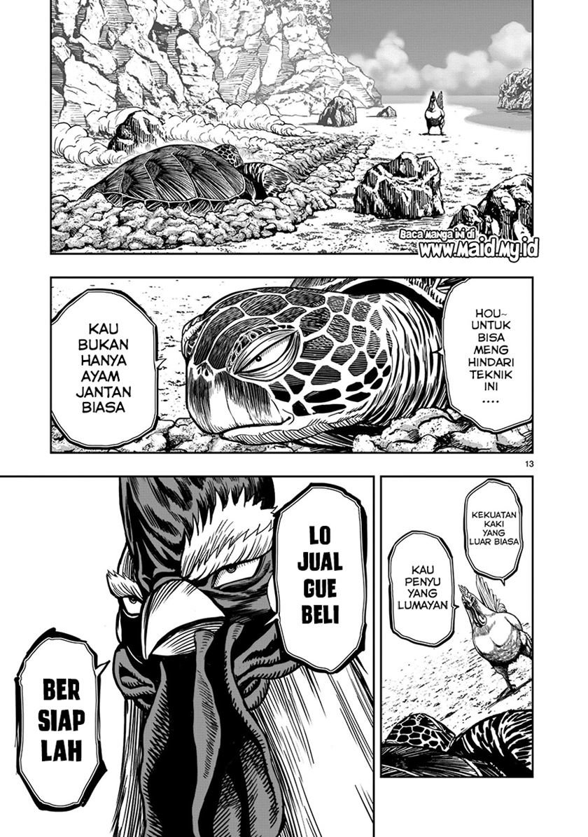 rooster-fighter - Chapter: 4