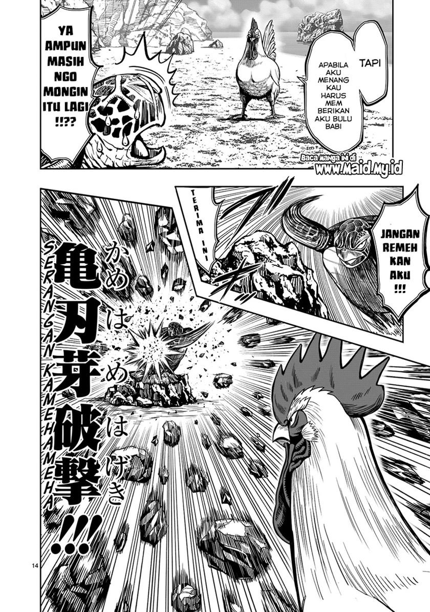 rooster-fighter - Chapter: 4