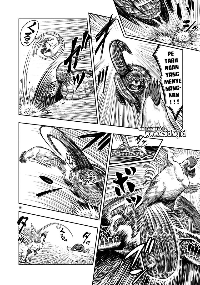 rooster-fighter - Chapter: 4