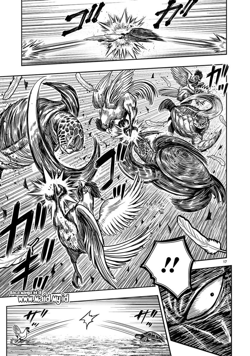 rooster-fighter - Chapter: 4