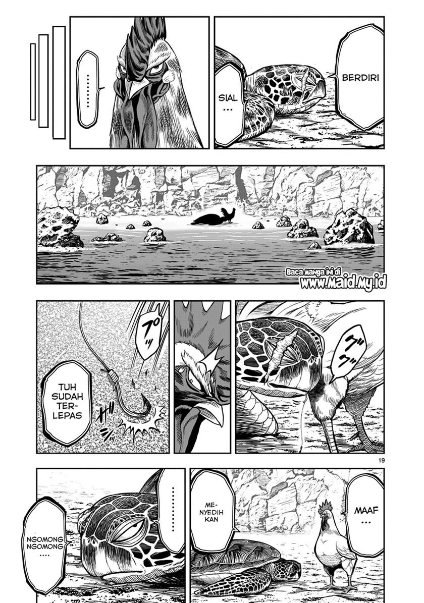 rooster-fighter - Chapter: 4