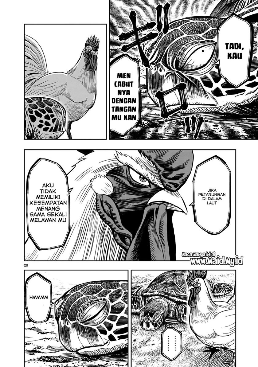 rooster-fighter - Chapter: 4