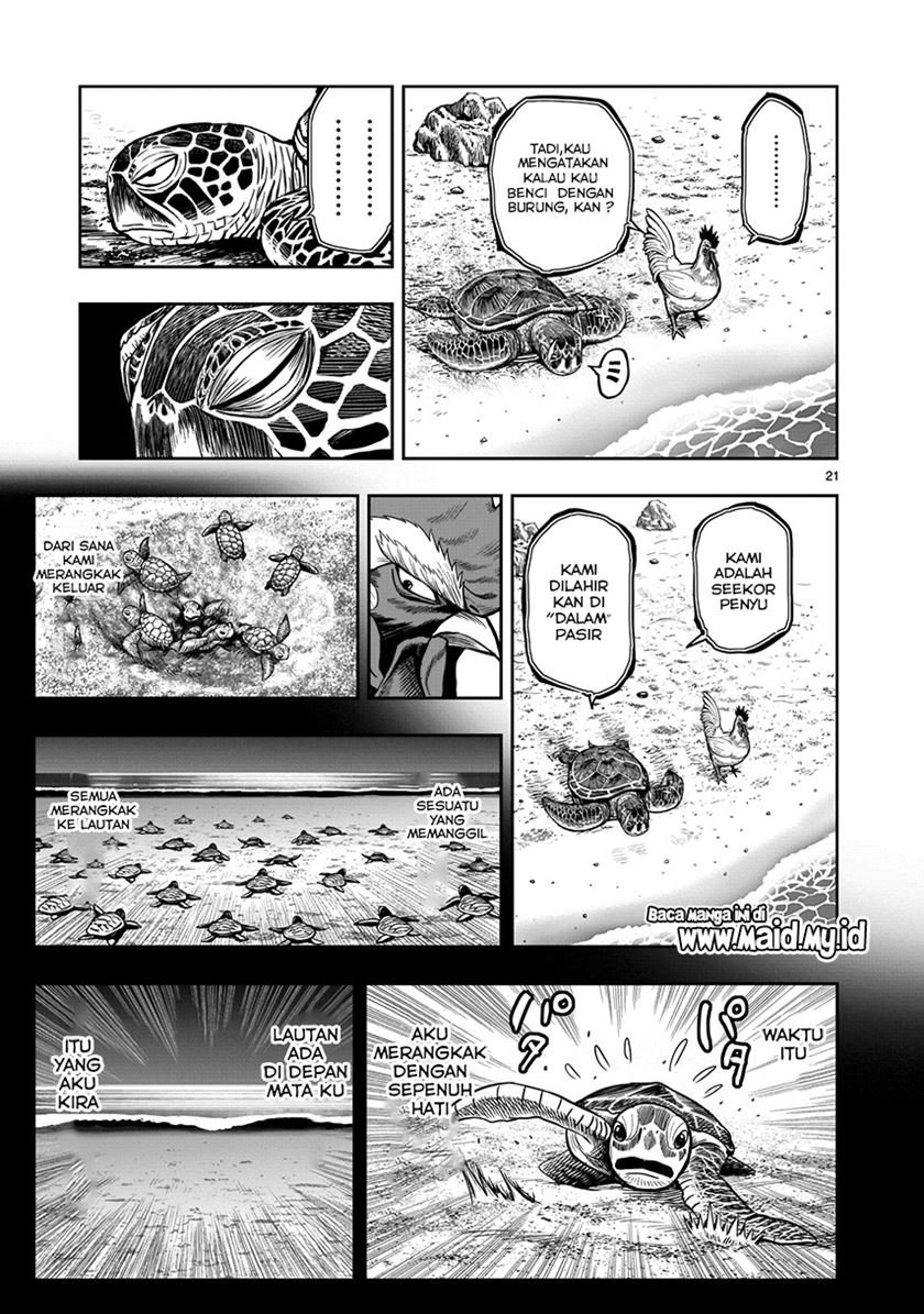 rooster-fighter - Chapter: 4