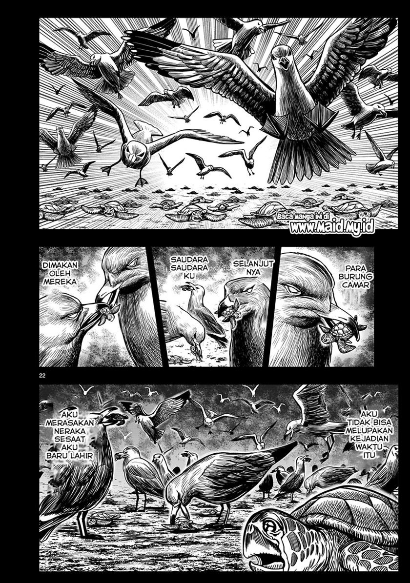 rooster-fighter - Chapter: 4