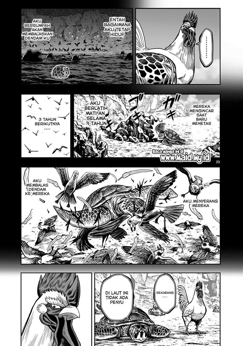 rooster-fighter - Chapter: 4