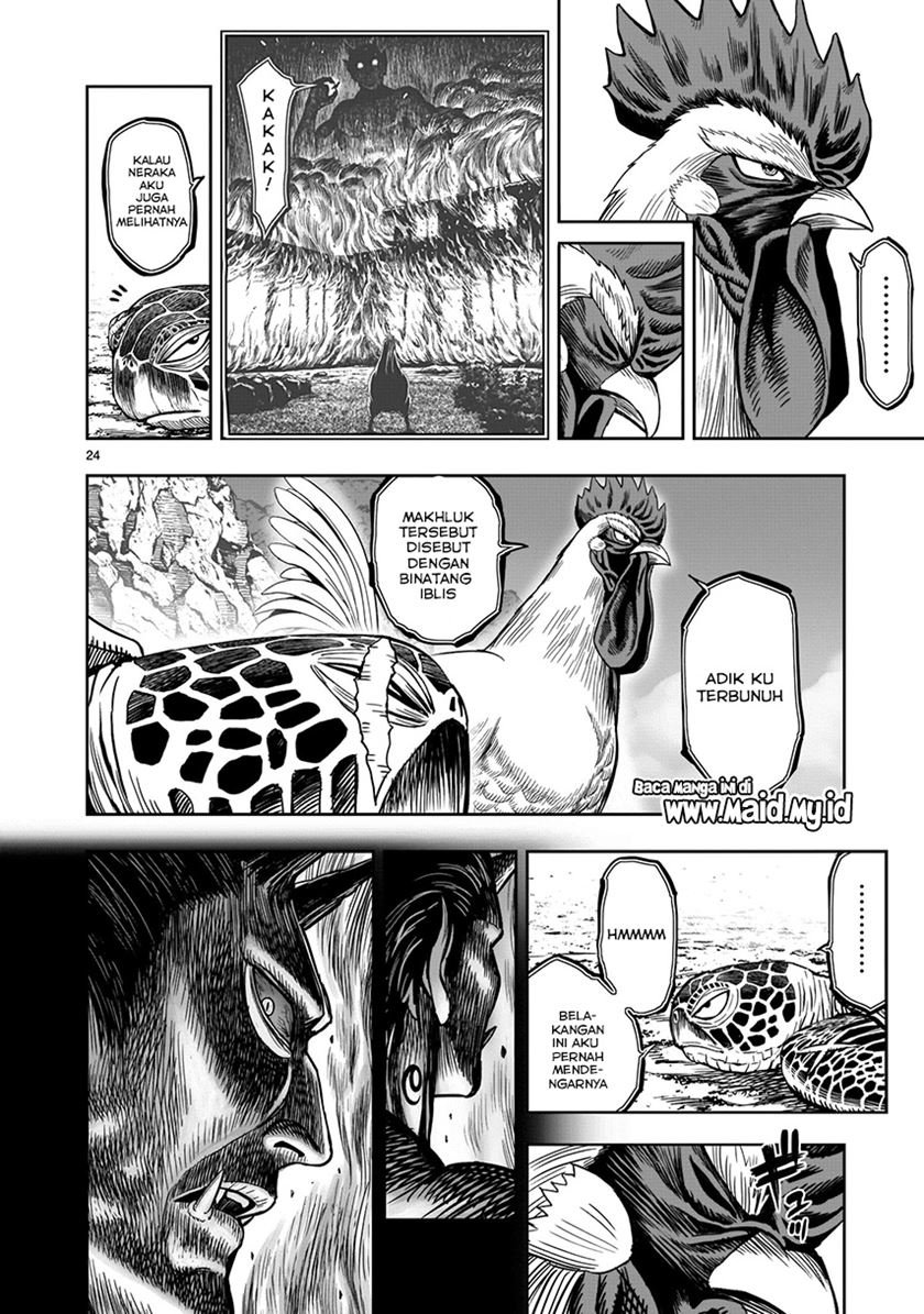 rooster-fighter - Chapter: 4