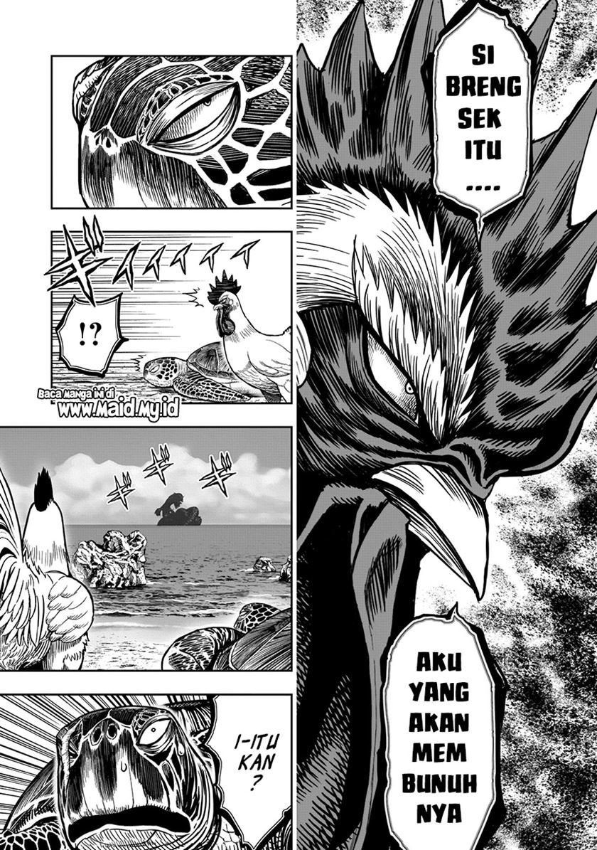 rooster-fighter - Chapter: 4