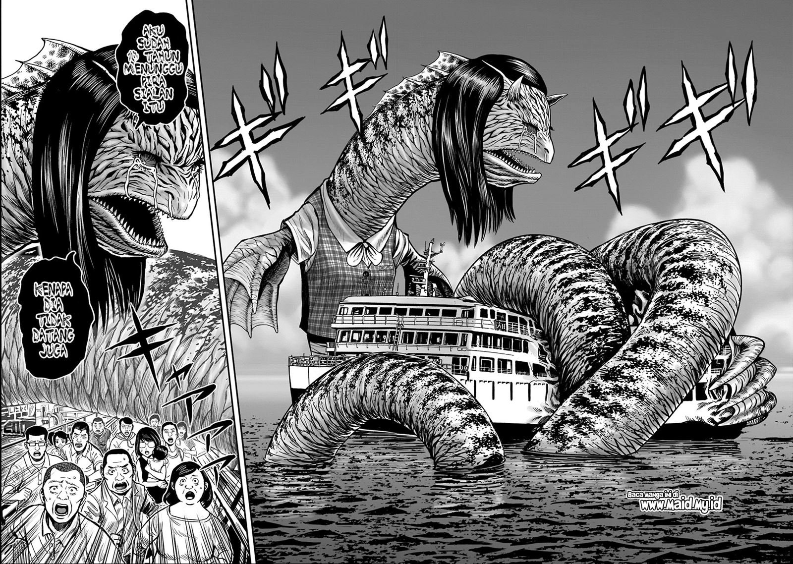 rooster-fighter - Chapter: 4