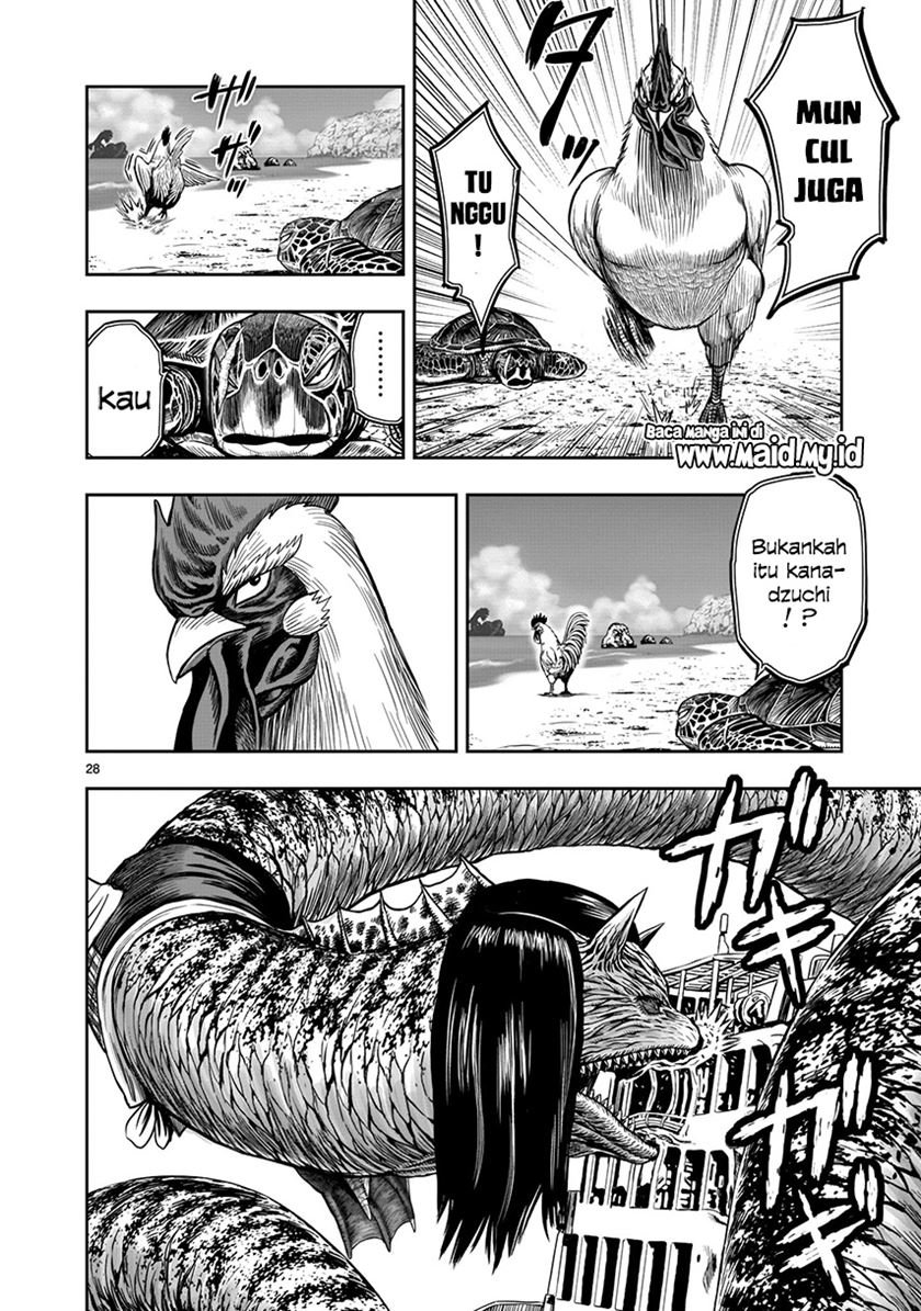 rooster-fighter - Chapter: 4