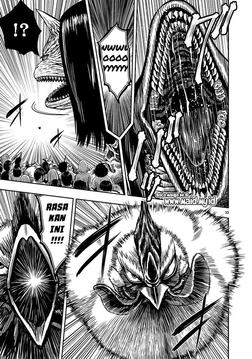rooster-fighter - Chapter: 4