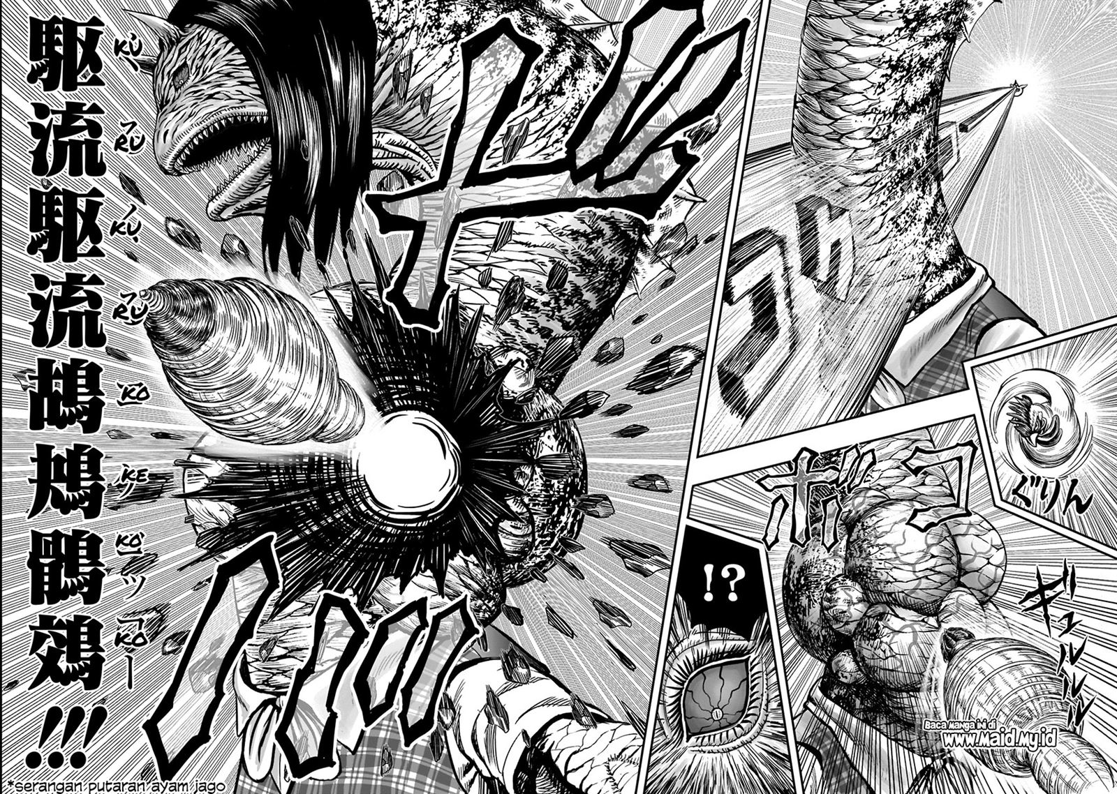 rooster-fighter - Chapter: 4