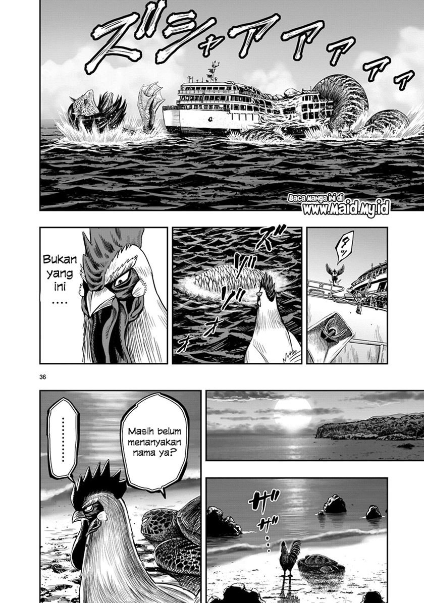 rooster-fighter - Chapter: 4