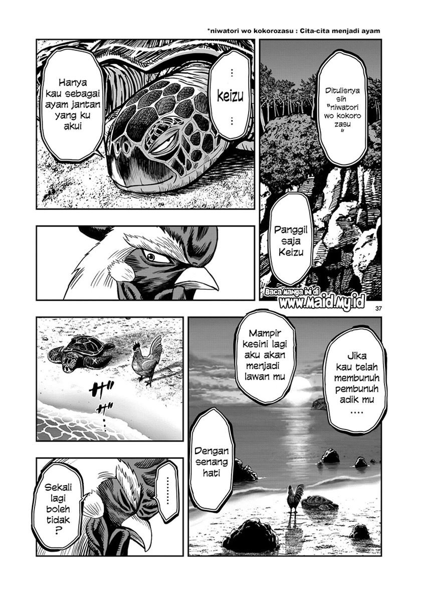 rooster-fighter - Chapter: 4