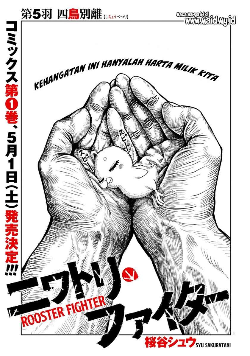 rooster-fighter - Chapter: 5