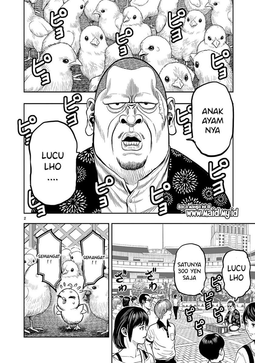 rooster-fighter - Chapter: 5