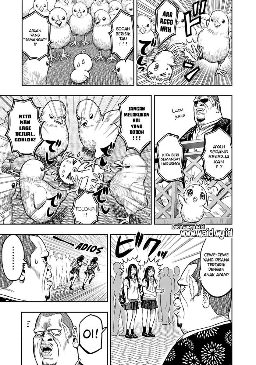 rooster-fighter - Chapter: 5