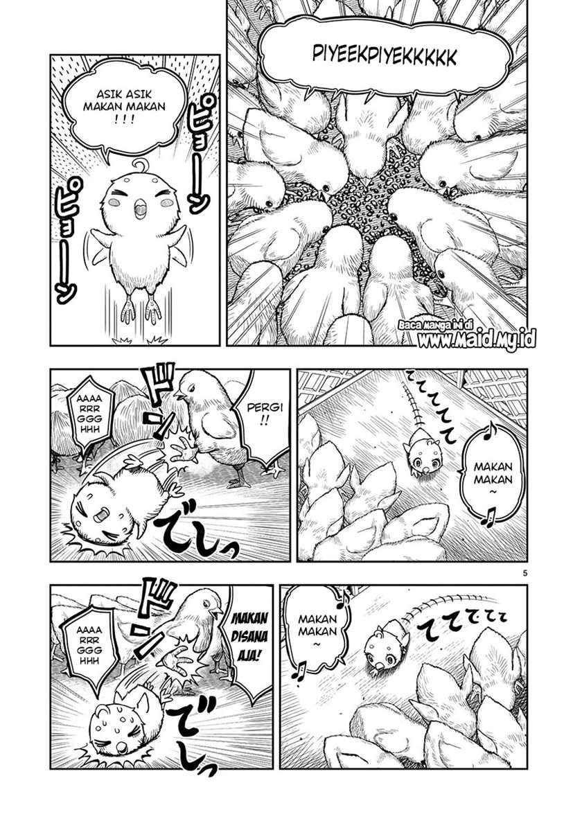rooster-fighter - Chapter: 5