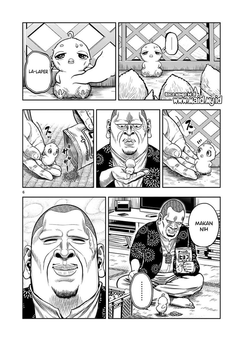 rooster-fighter - Chapter: 5