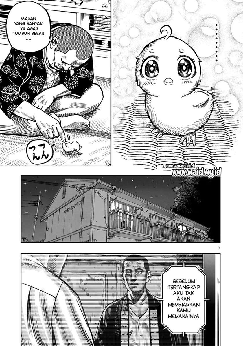 rooster-fighter - Chapter: 5