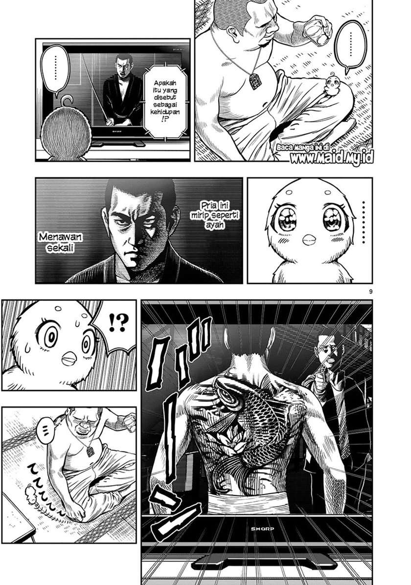 rooster-fighter - Chapter: 5