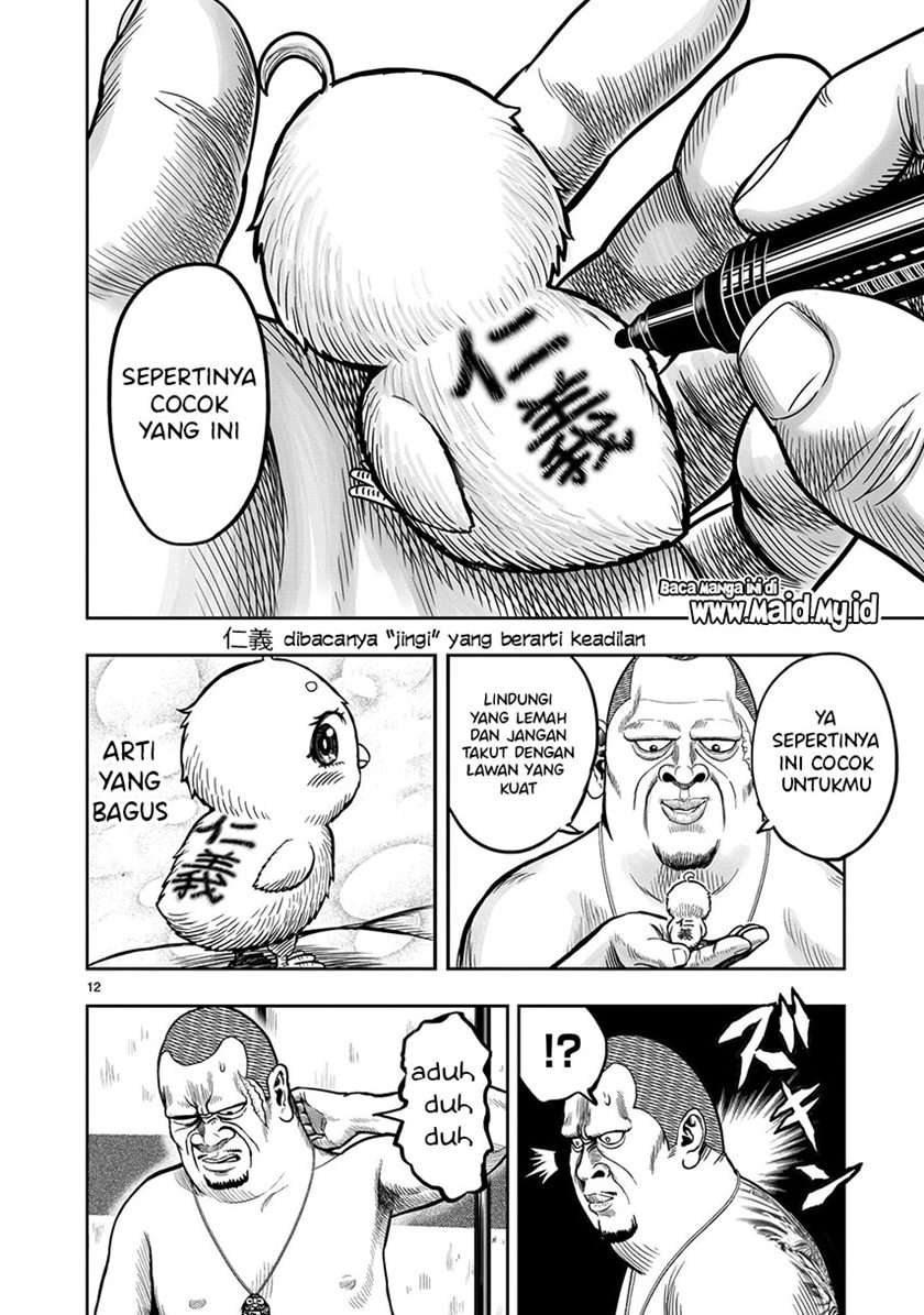 rooster-fighter - Chapter: 5