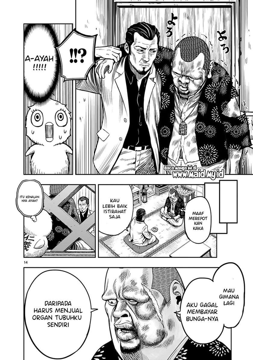 rooster-fighter - Chapter: 5