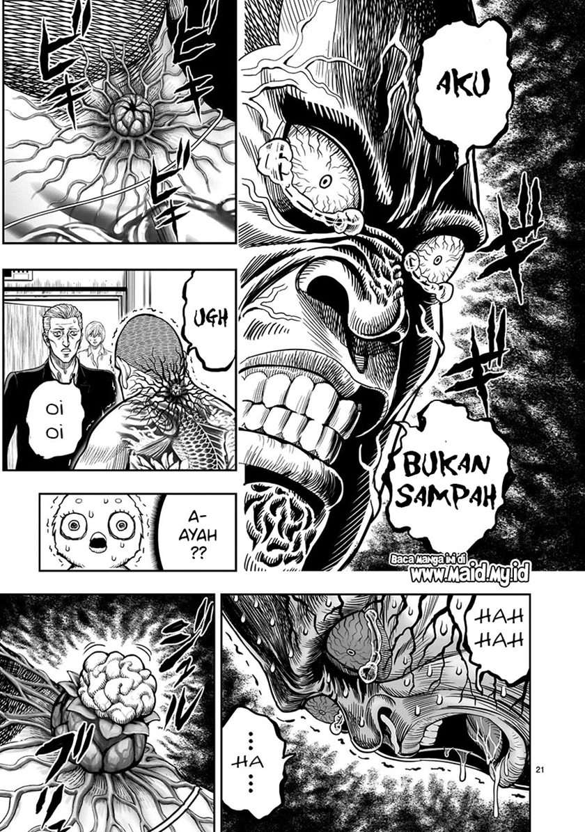 rooster-fighter - Chapter: 5