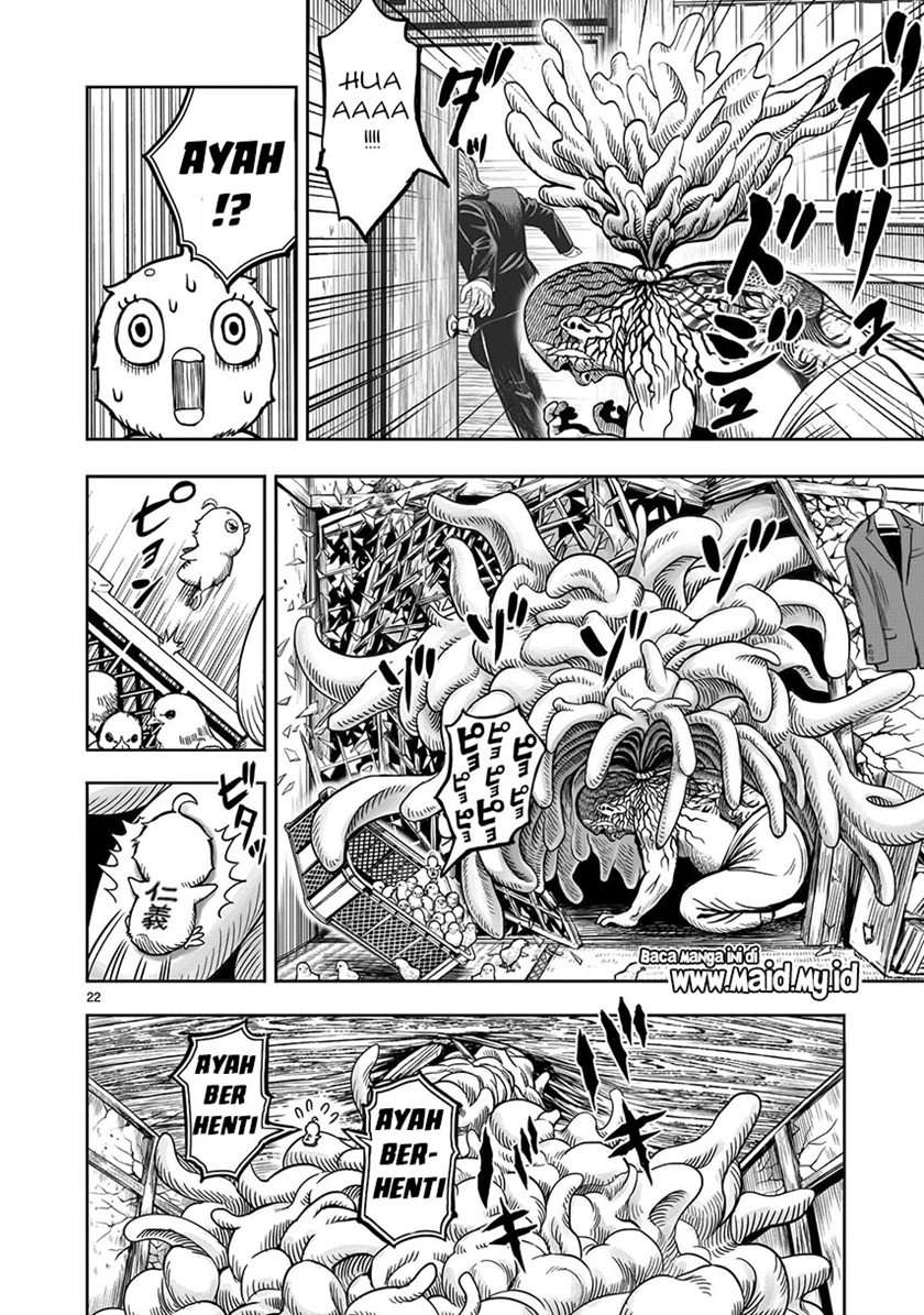 rooster-fighter - Chapter: 5