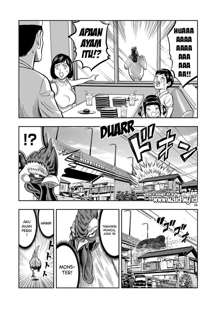 rooster-fighter - Chapter: 5