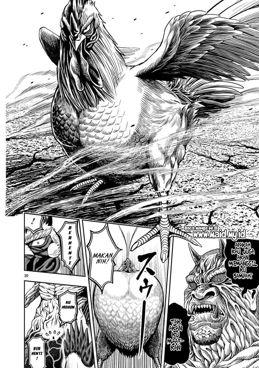rooster-fighter - Chapter: 5