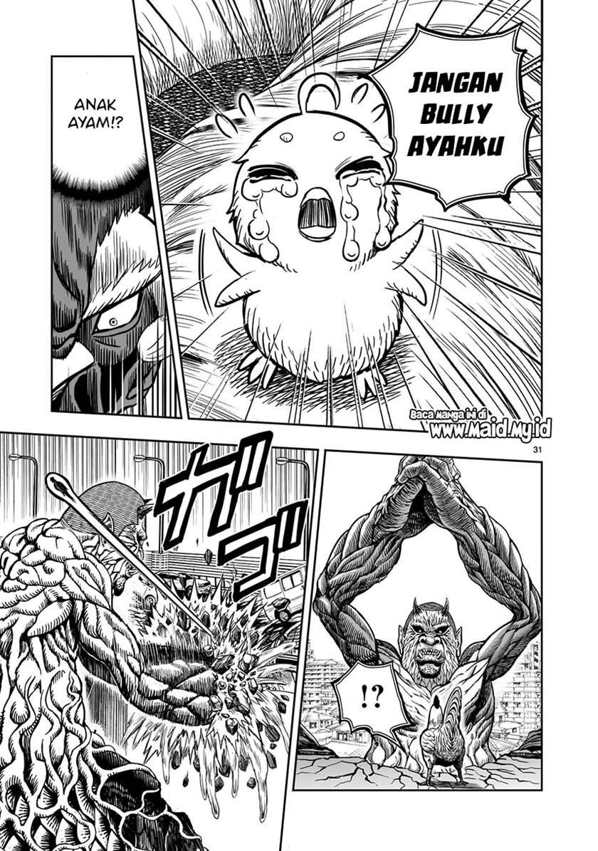rooster-fighter - Chapter: 5